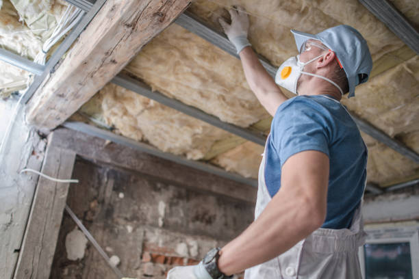 Best Fiberglass Insulation  in Georgetown, DE