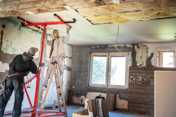 Best Insulation Removal  in Georgetown, DE