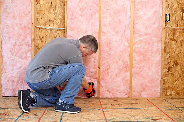 Best Insulation Contractor Near Me  in Georgetown, DE